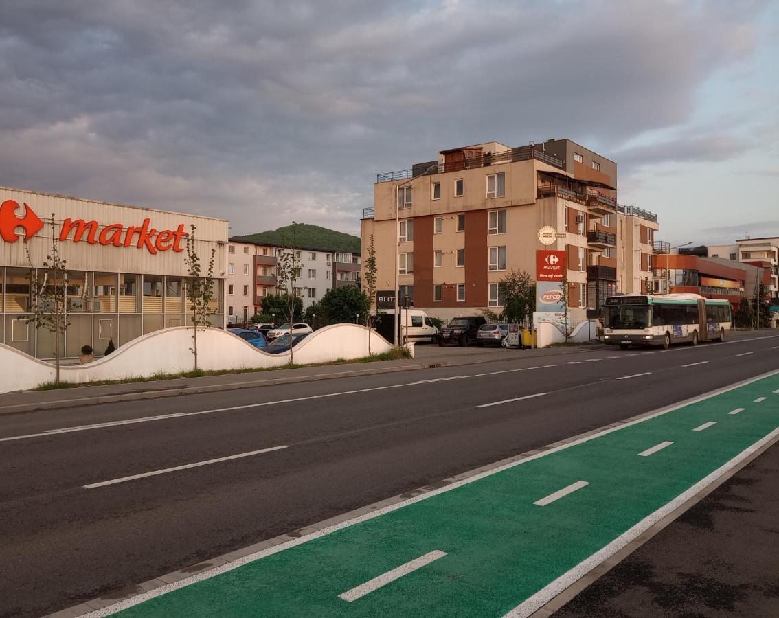 Апартаменты Apartament Daniela Флорешты Экстерьер фото